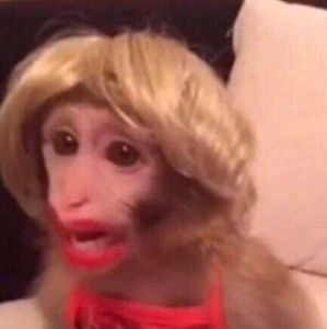 Meet your Posher, Tessa